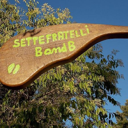 B&B Sette Fratelli San Gregorio (Sardinia) Exterior foto