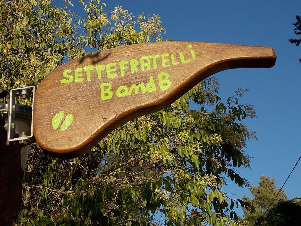 B&B Sette Fratelli San Gregorio (Sardinia) Exterior foto