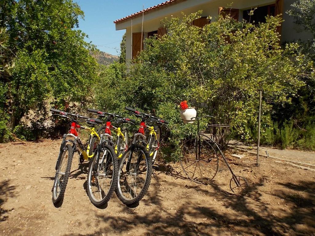 B&B Sette Fratelli San Gregorio (Sardinia) Exterior foto